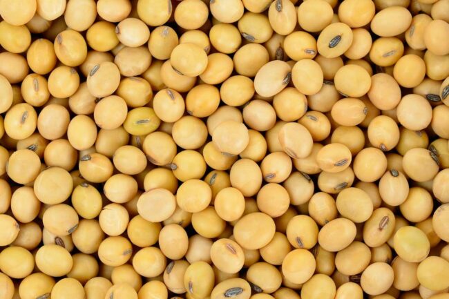 Soybeans, Adobe Stock