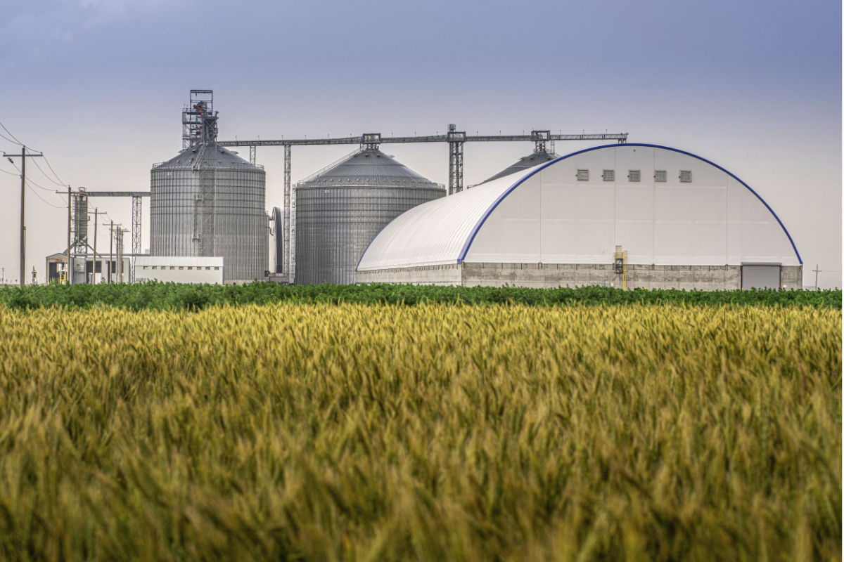 grain mill farm