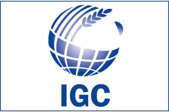 IGC logo