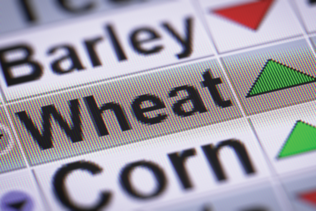 Grain trade_AdobeStock_132031392_E.png