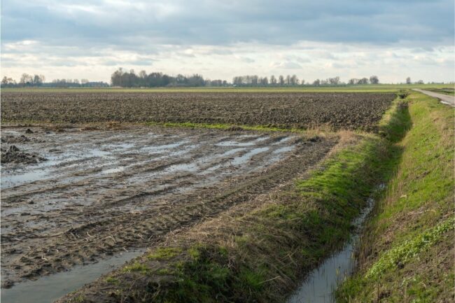 Agricultural field wet winter season