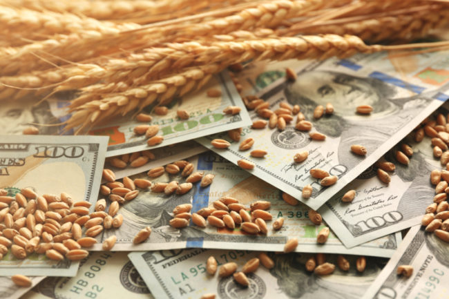 WheatMoney