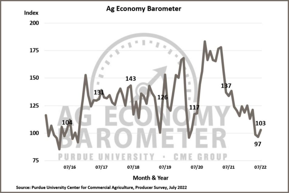 US ag producers feeling slightly better about current, future ...