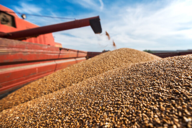 Wheat Combine