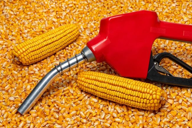 Ethanol corn