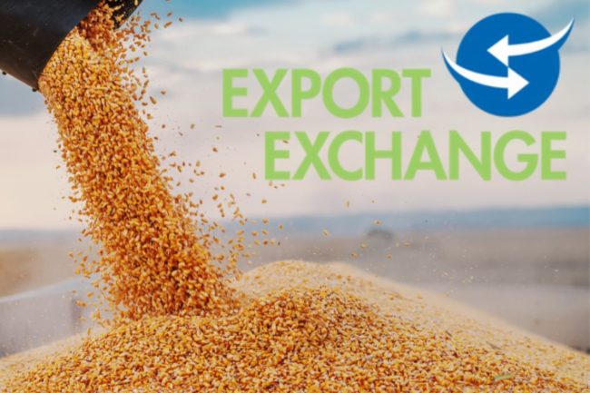 Export Exchange