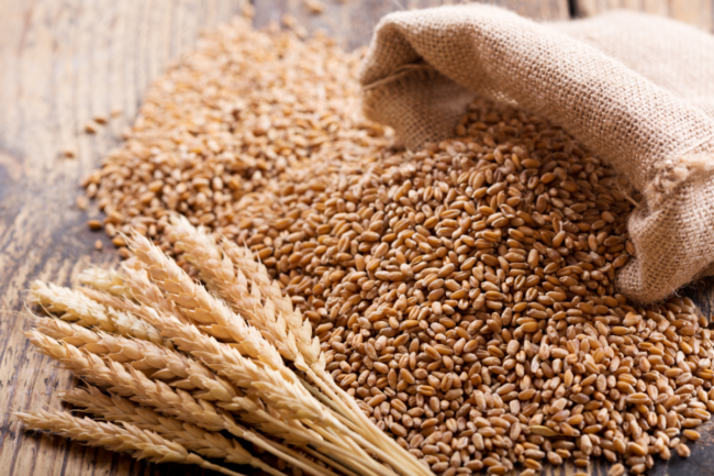 wheat stalks and kernels_photo cred Adobe stock_E.png