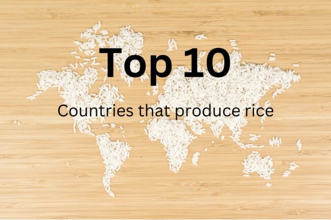 Top 10 Rice.jpg