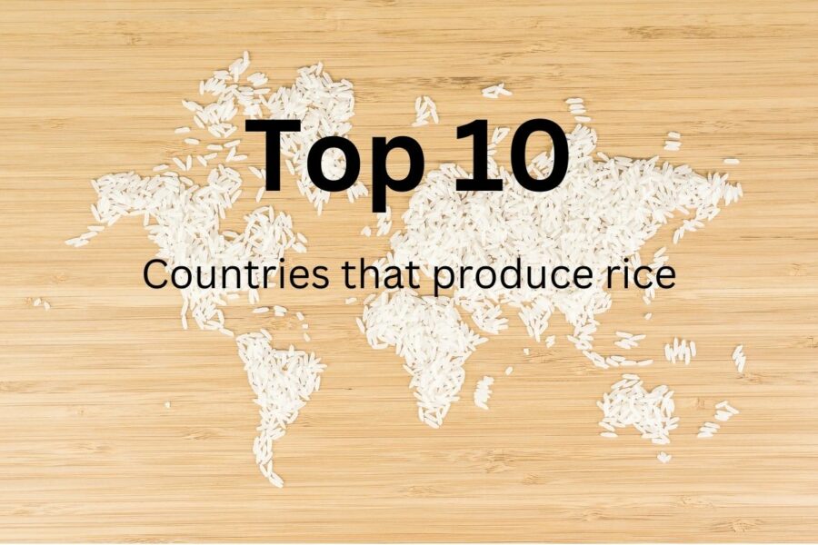 Top 10 rice