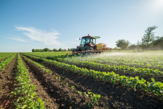 fertilizer soybean field_cr ©OTICKI – STOCK.ADOBE.COM_e.jpg