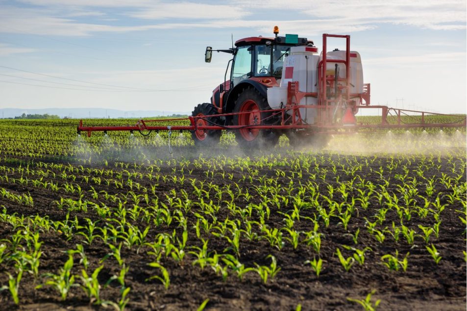 Researchers: Energy, fertilizer prices to have greatest impact on food ...