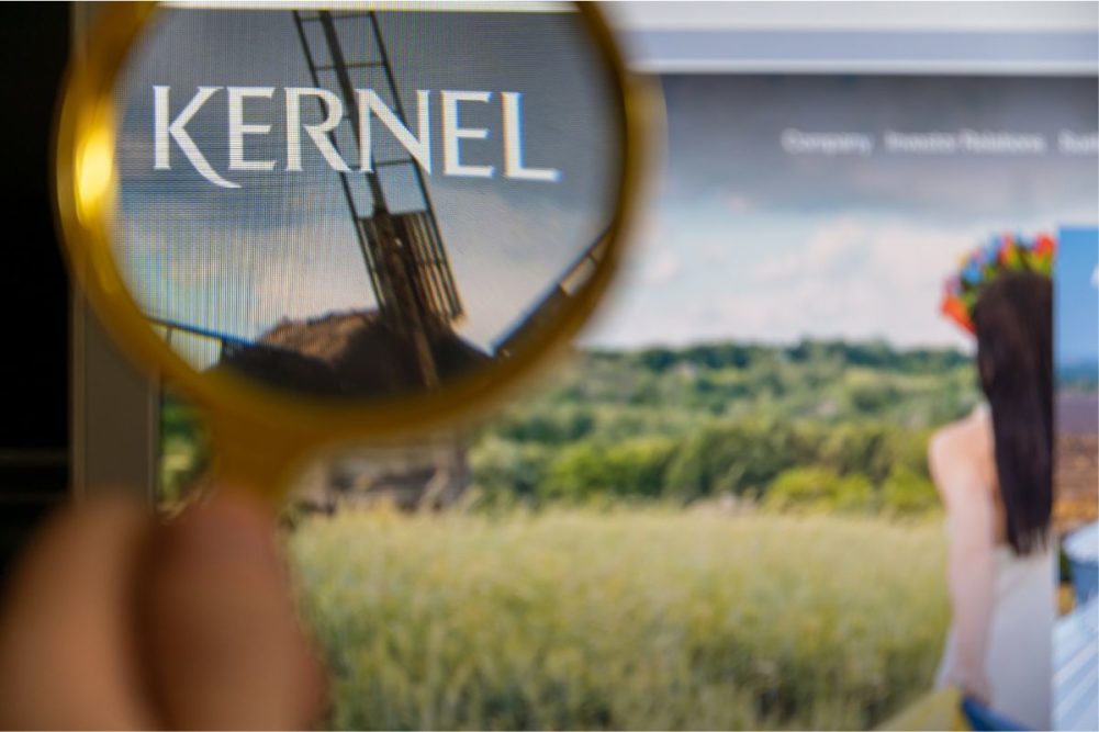 Kernel_©MIKHAIL - STOCK.ADOBE.COM_e.jpg