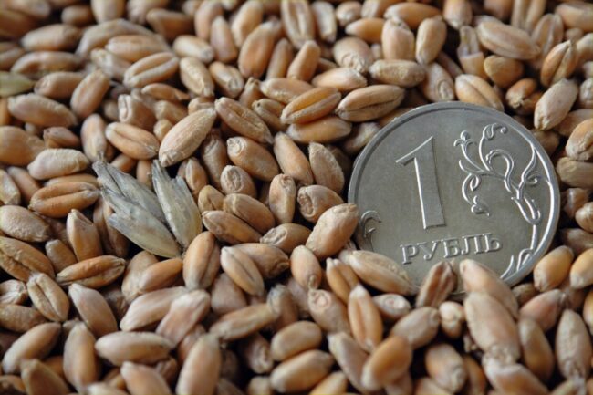 Russia ruble wheat_©OLEXANDR KULICHENKO - STOCK.ADOBE.COM_e.jpg