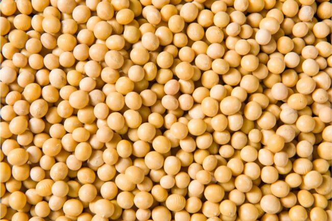 soybeans_©ZHIKUN SUN - STOCK.ADOBE.COM_e.jpg