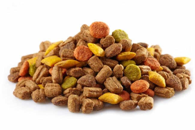 pet food_©MARA ZEMGALIETE - STOCK.ADOBE.COM_e.jpg