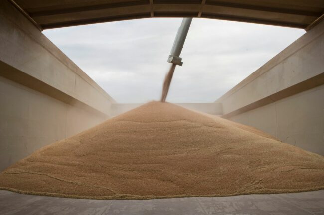 grain barge loading_©A - STOCK.ADOBE.COM_e.jpg