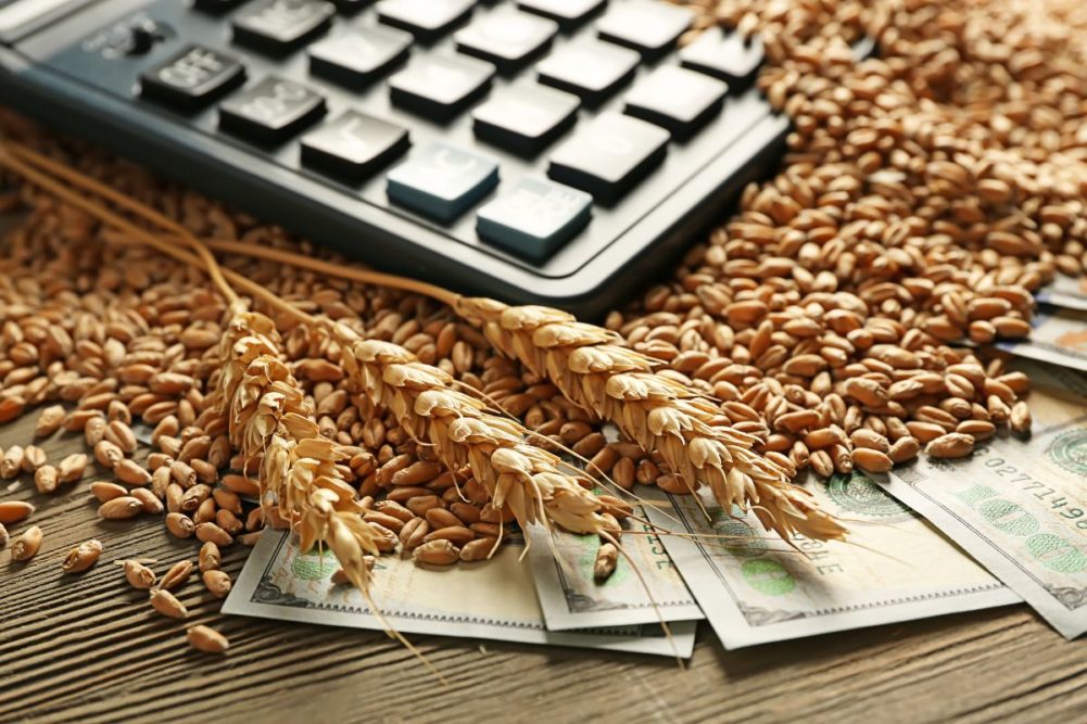 wheat money_©AFRICA STUDIO - STOCK.ADBOE.COM_e.jpg