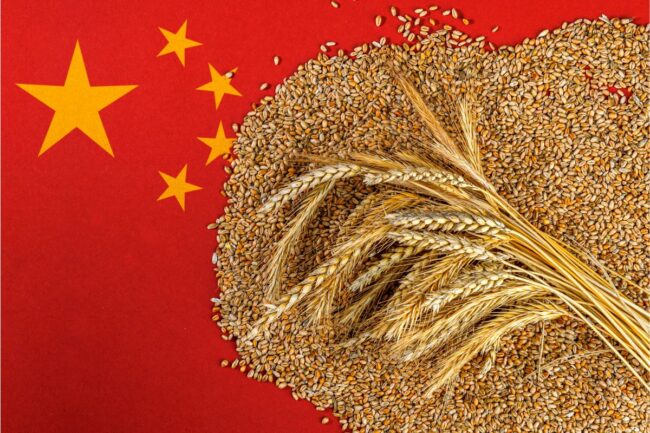 China flag wheat grain harvest_©TSVIPHOTO - STOCK.ADOBE.COM_e.jpg