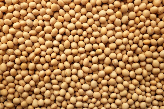 soybeans_©SARAHDOOW - STOCK.ADOBE.COM_e (1).jpg