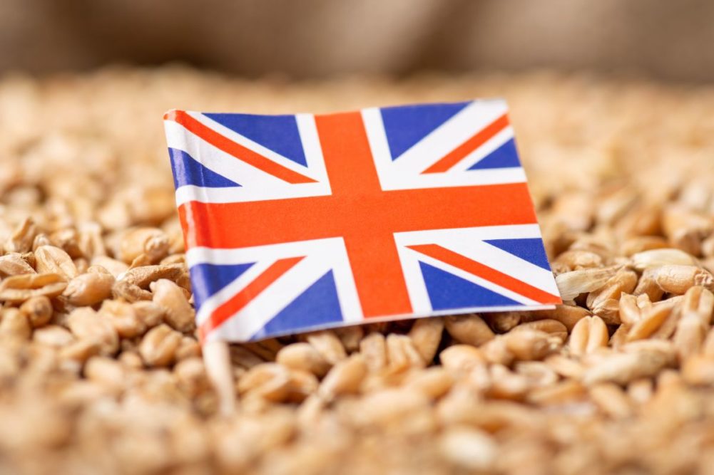 UK to boost climate-resilient crop research | World Grain