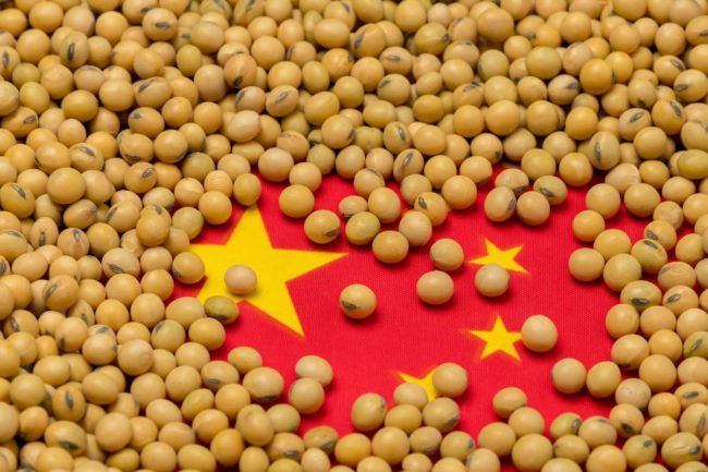 China flag soybeans_©JJ GOUIN - STOCK.ADOBE.COM_e (1).jpg