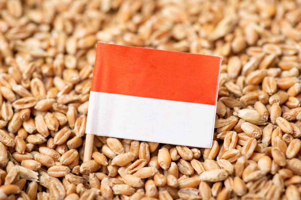 Indonesia flag wheat_©VITALII - STOCK.ADOBE.COM_e.jpg