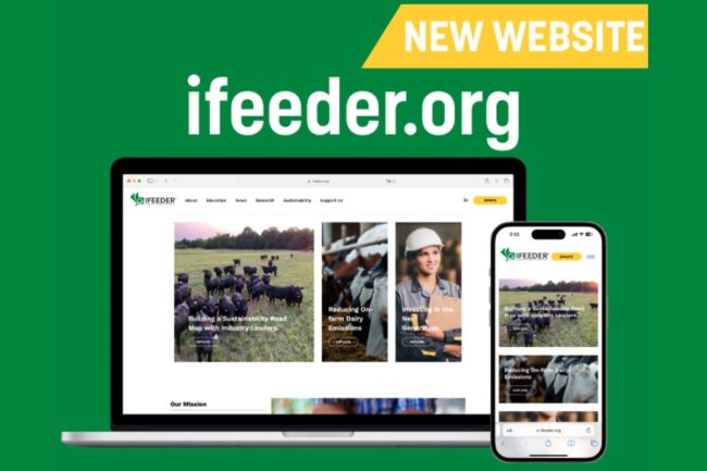 IFEEDER website_©IFEEDER_e.jpg