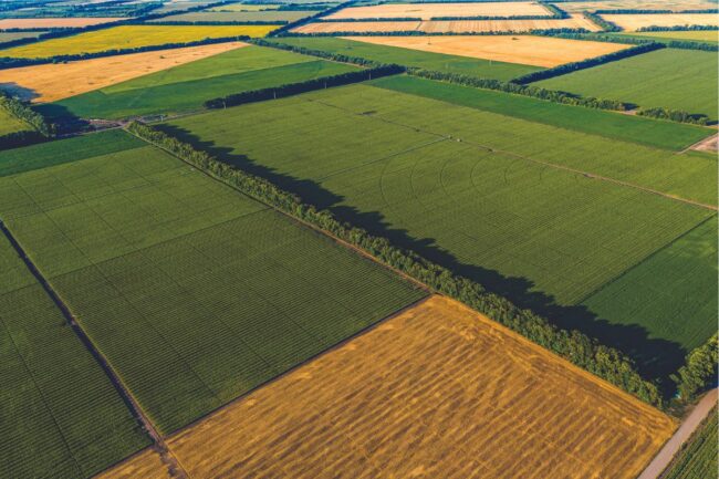 farm fields_©ARTSVITLYNA - STOCK.ADOBE.COM_e.jpg