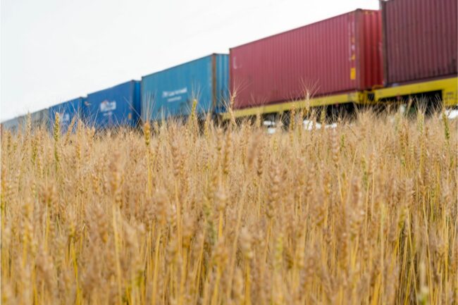 wheat rail train grain_©ATTRACTION ART - STOCK.ADOBE.COM_e.jpg