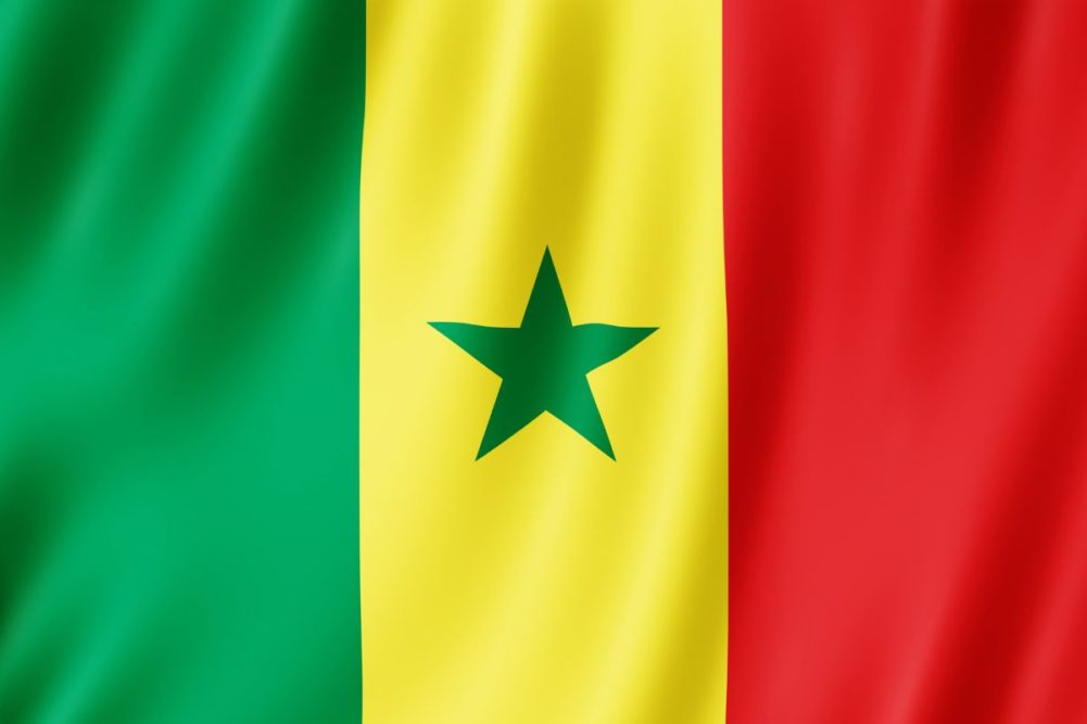 Senegal flag_©MD3D - STOCK.ADOBE.COM_e.jpg