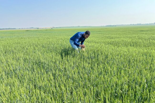 Kansas wheat tour 2024_©SOSLAND PUBLISHING CO._e.jpg