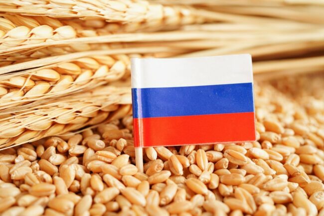 Russia flag wheat grain_Credit ©MANASSANANT - STOCK.ADOBE.COM_e.jpg