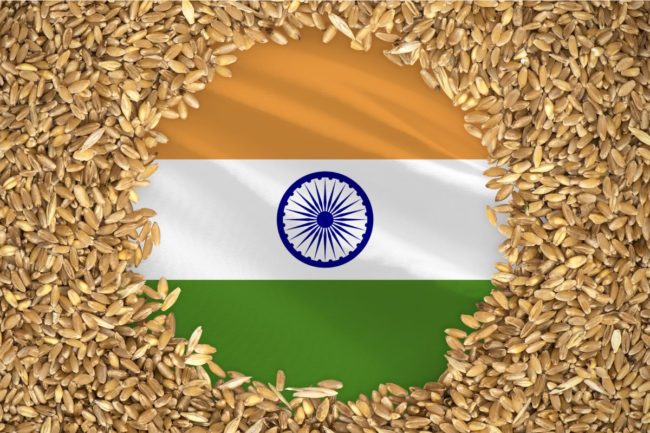 India flag grain wheat_©PREHISTORIK - STOCK.ADOBE.COM_e.jpg