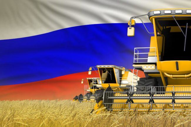 Russia wheat field combine_©DANCING MAN - STOCK.ADOBE.COM_e.jpg