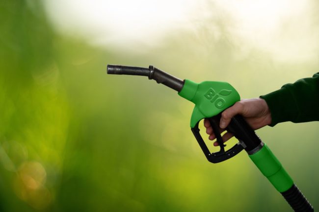 biofuels_renewable_©SCHARFSINN86 - STOCK.ADOBE.COM_e.jpg