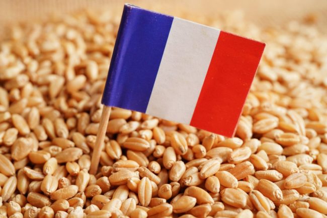 Wheat_France flag_©MANASSANANT - STOCK.ADOBE.COM_e.jpg