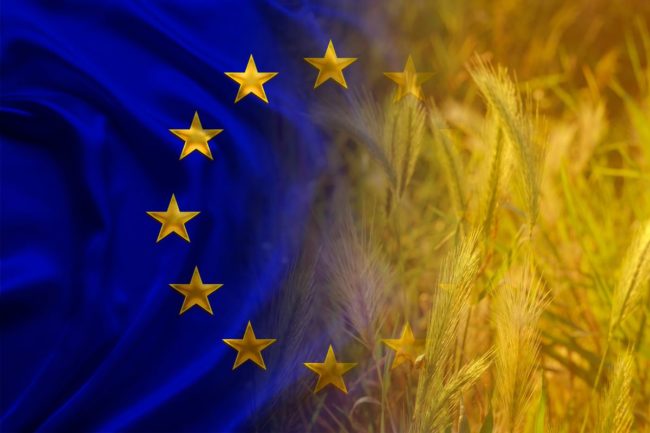 EU flag_wheat_European Union_©KITTYFLY - STOCK.ADOBE.COM_e.jpg