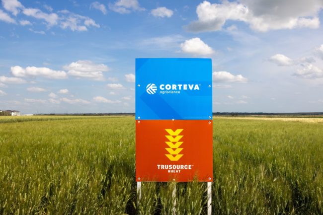 Corteva_Trusource_©CORTEVA AGRISCIENCE_e.jpg