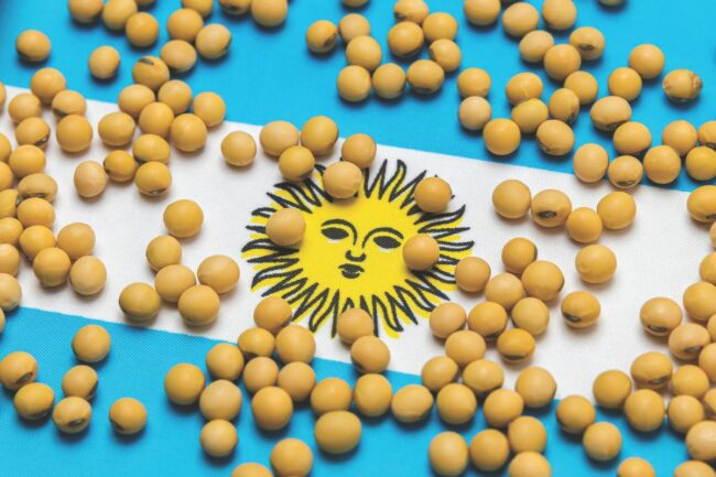 Argentina flag soybean_©JJ GOUIN - STOCK.ADOBE.COMoe.jpg