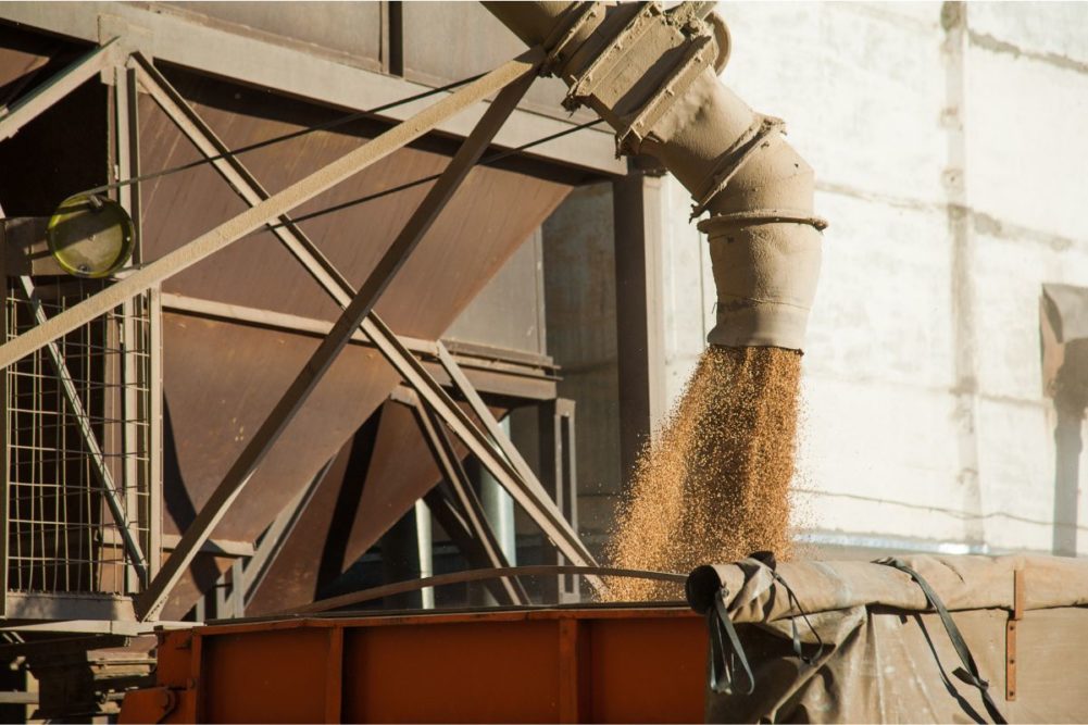 grain loading elevator_©NGR - STOCK.ADOBE.COM_e.jpg