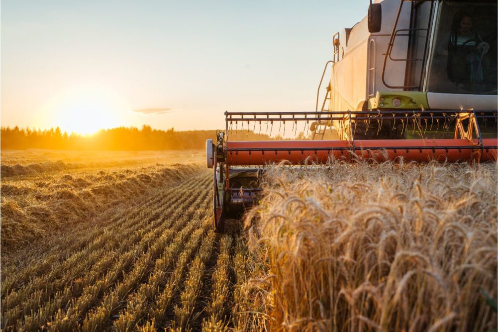 harvest_©ALEKSANDR RYBALKO - STOCK.ADOBE.COM_e.jpg