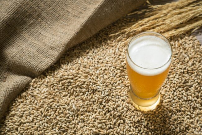 beer malt grains_©JHK2303 - STOCK.ADOBE.COM_e.jpg