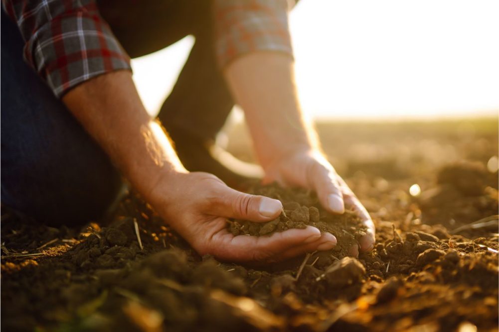 regenerative agriculture_soil farmer_©MAXBELCHENKO - STOCK.ADOBE.COM.jpg