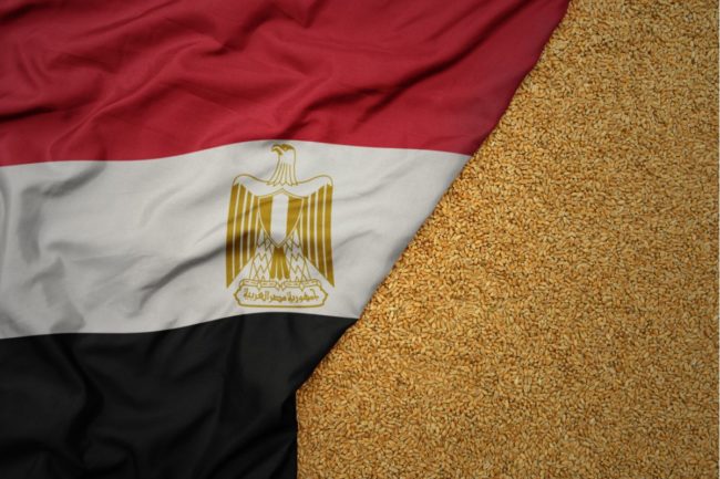 Egypt flag wheat_©LUZITANIJA - STOCK.ADOBE.COM_e.jpg