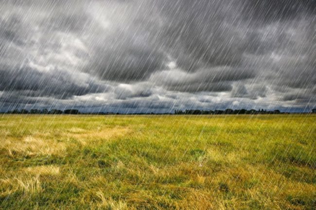 rain field_©PERESANZ - STOCK.ADOBE.COM_e.jpg