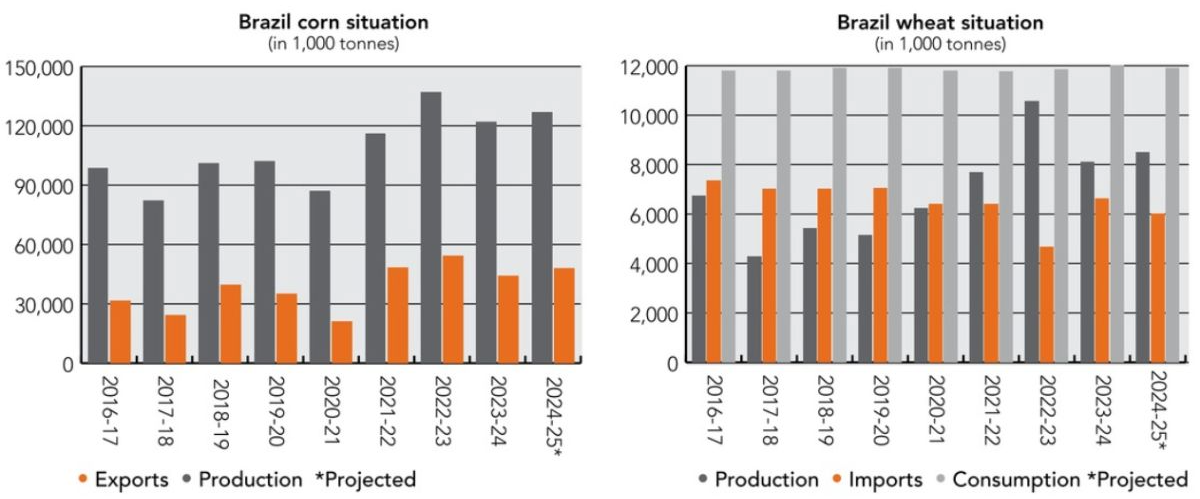 CF-Brazil-1224_corn-wheat-graphic_SOSLAND-PUBLISHING-CO._e-copy.jpg