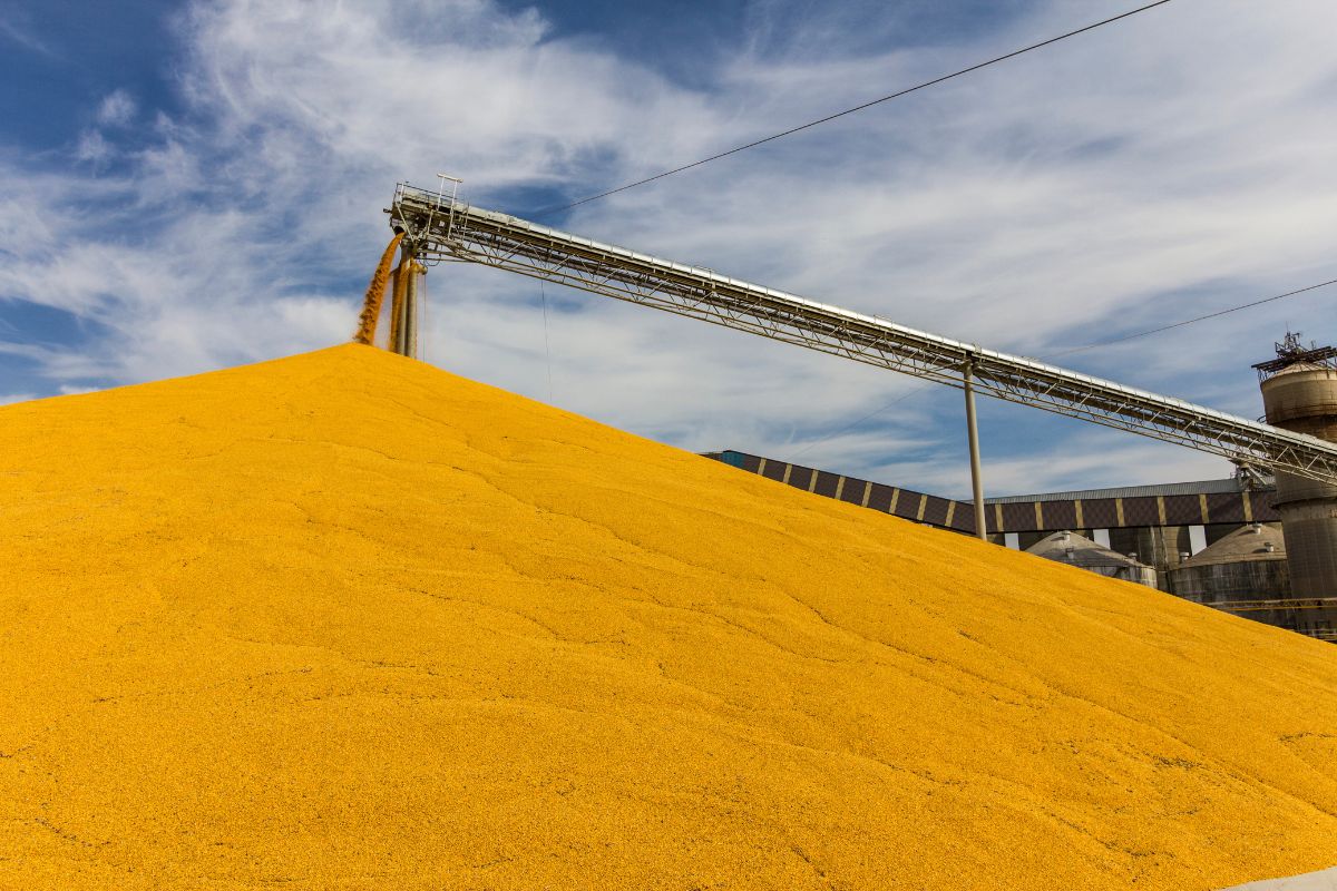 corn handling ground pile_©JETCITYIMAGE - STOCK.ADOBE.COM_e.jpg