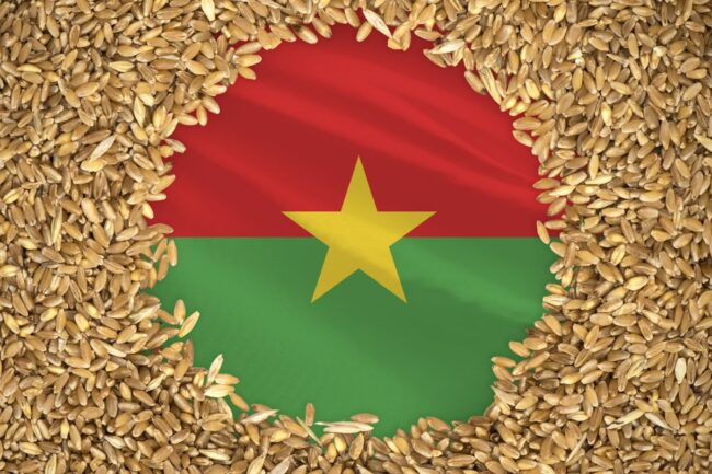 Burkina Faso flag wheat_©PREHISTORIK - STOCK.ADOBE.COM_e.jpg