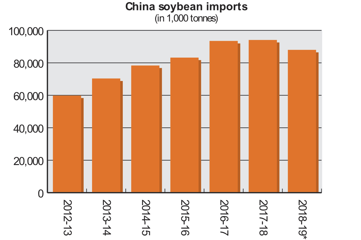 China soybean chart