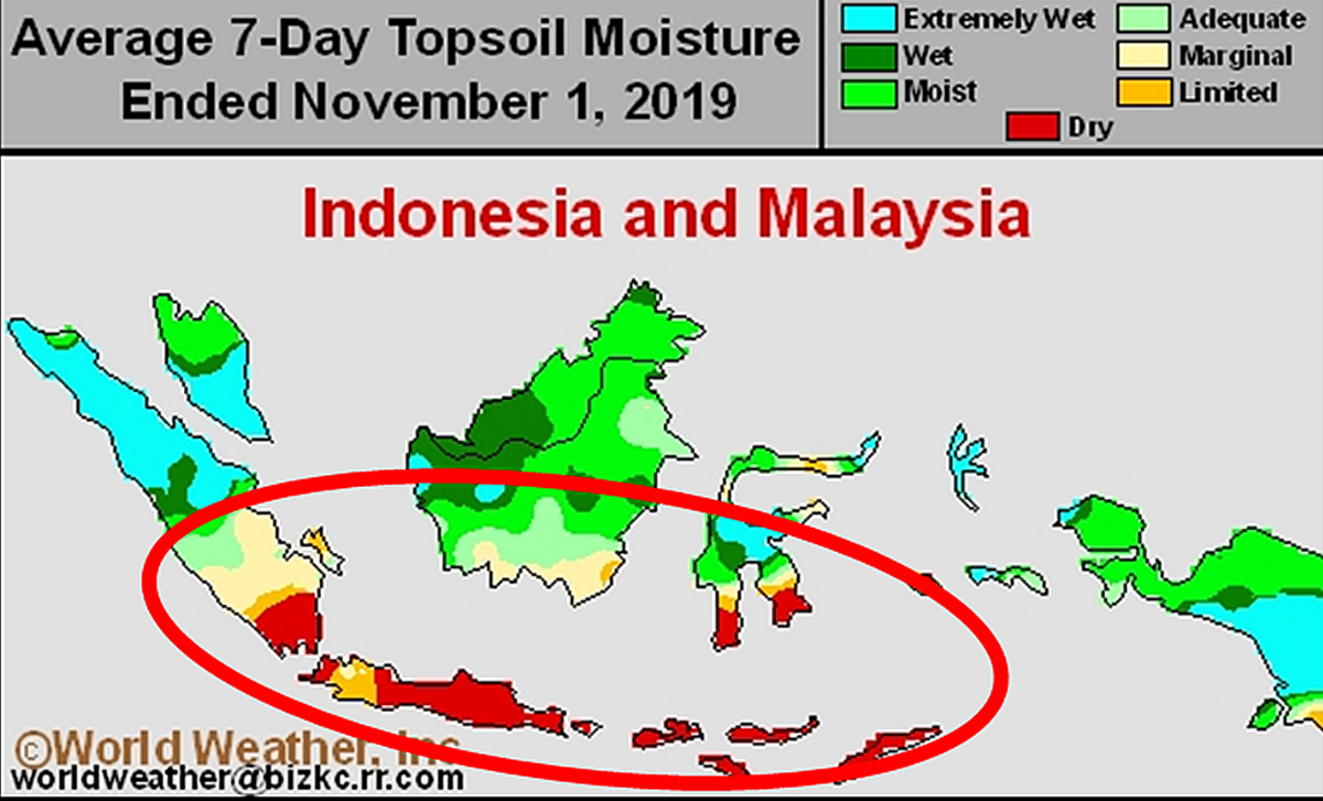 Indonesia Seeing More Rainfall 2020 01 24 World Grain